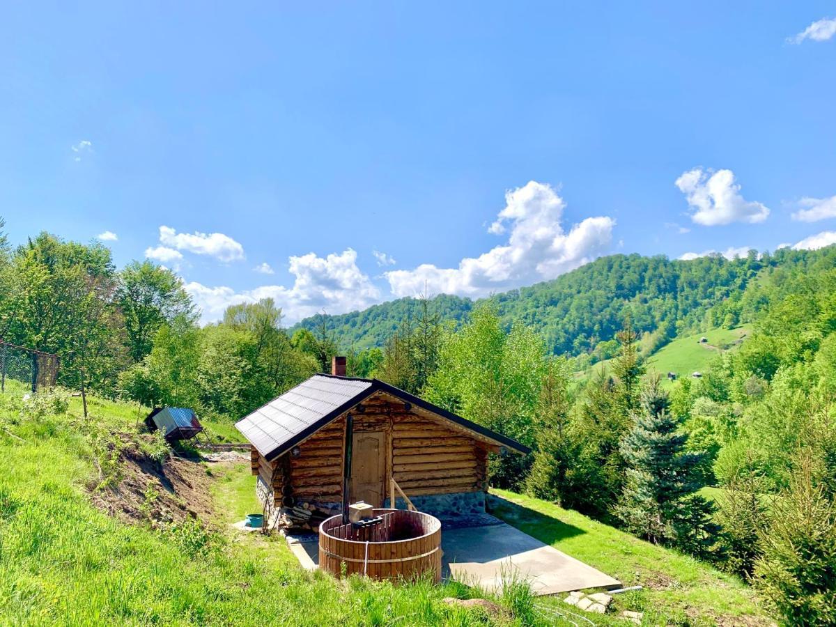 Hotel Conacul Drahneilor à Ruscova Extérieur photo