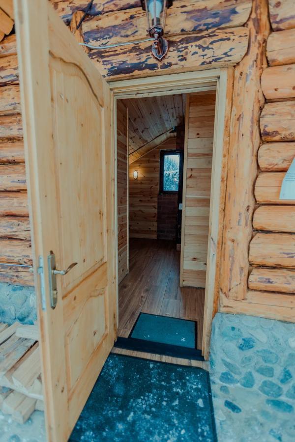 Hotel Conacul Drahneilor à Ruscova Extérieur photo