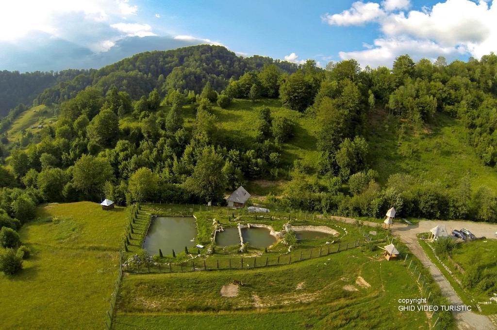 Hotel Conacul Drahneilor à Ruscova Extérieur photo